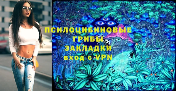 сатива Алзамай