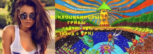 экстази Алексеевка