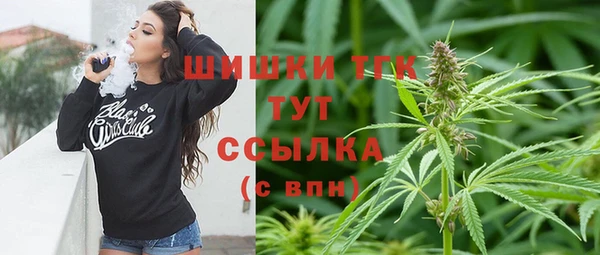 сатива Алзамай